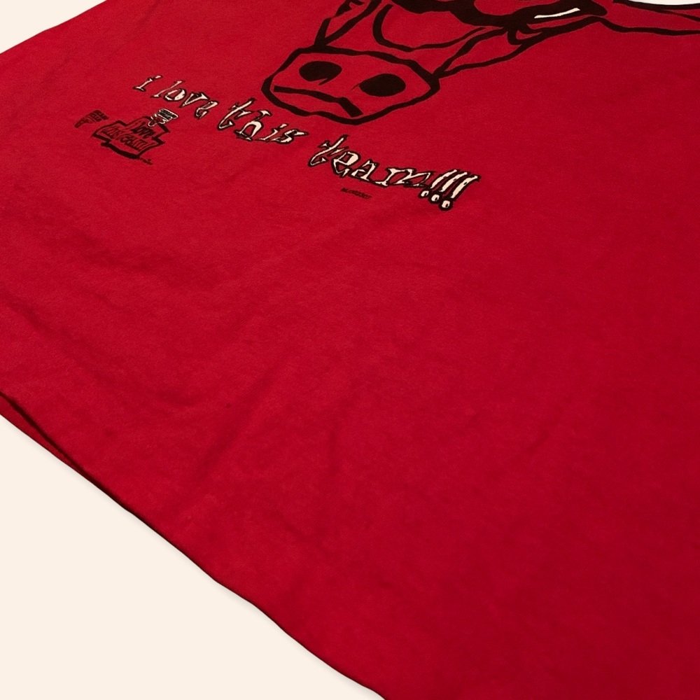 (SOLD) Chicago Bulls 1995-96 Record Breaking Year - Picture 5 of 6